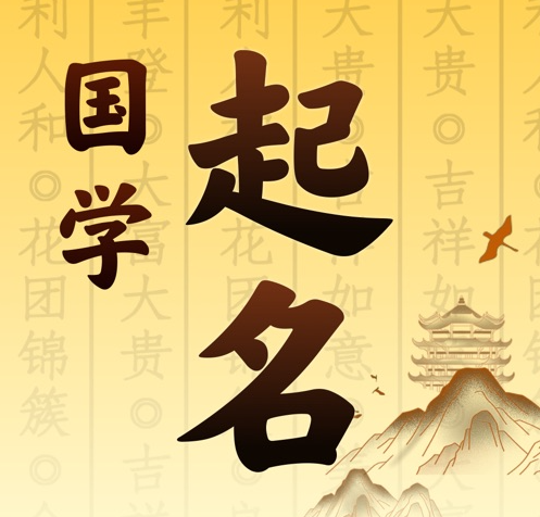 中卫国学起名 人工起名一对一